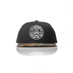 Defend the 2nd Snapback